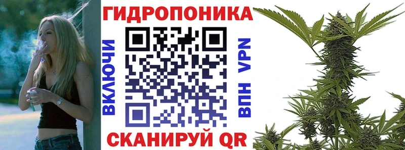 Купить  Черногорск  Бошки Шишки план 